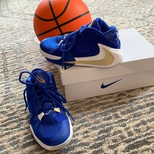 Giannis Antetokounmpo Freak 1 Boys Basketball by Nike Blue